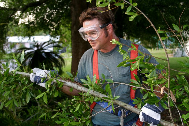 Yard Debris Removal Service