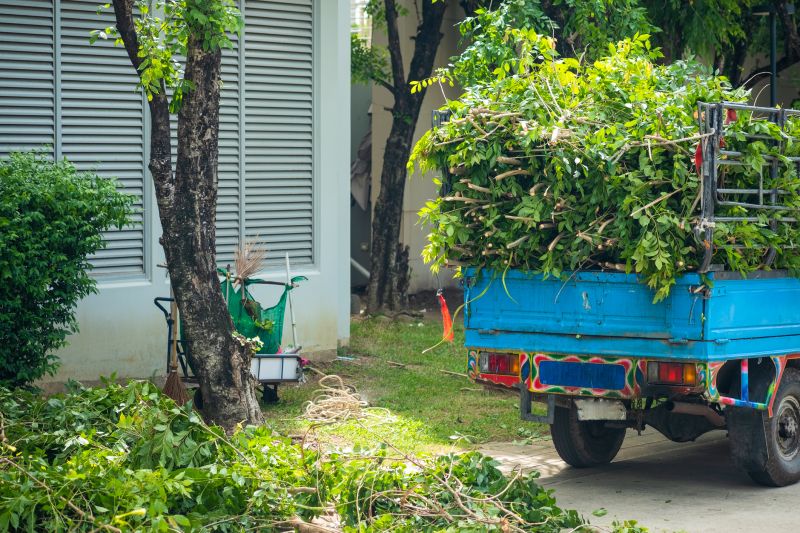 Brush Cleanup Service in Ventura County, CA