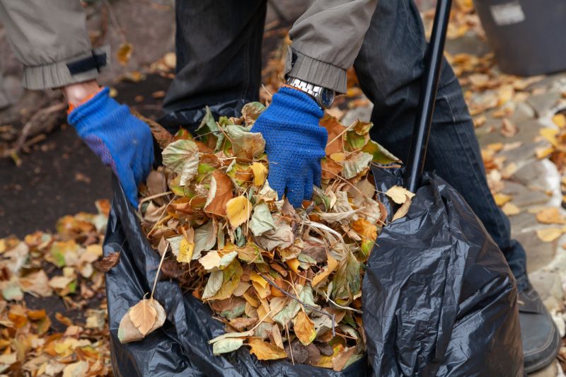 Fall Lawn Cleanup Service