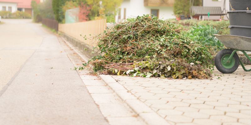 Lawn Waste Removal in Honolulu, HI