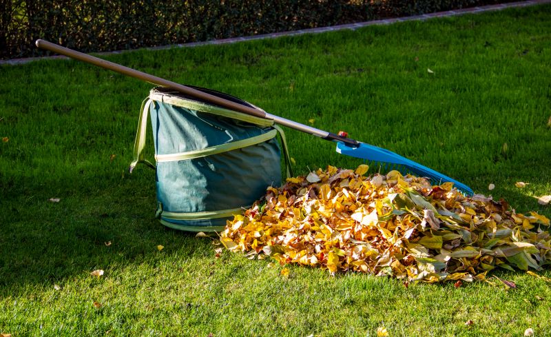Lawn Waste Removal in Honolulu, HI