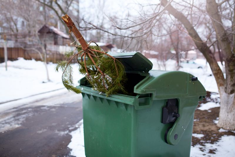 Leaf Removal in Honolulu, HI