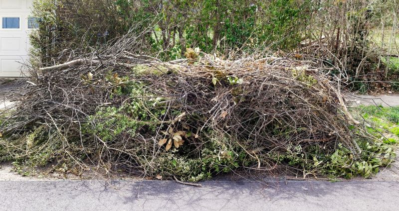 Leaf Removal