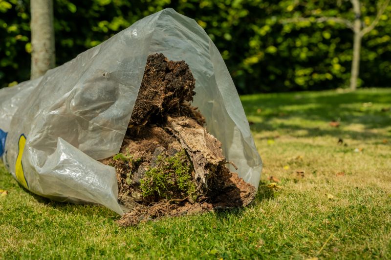 Leaf Removal