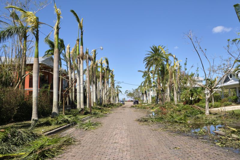 Limbs Removal in Honolulu, HI