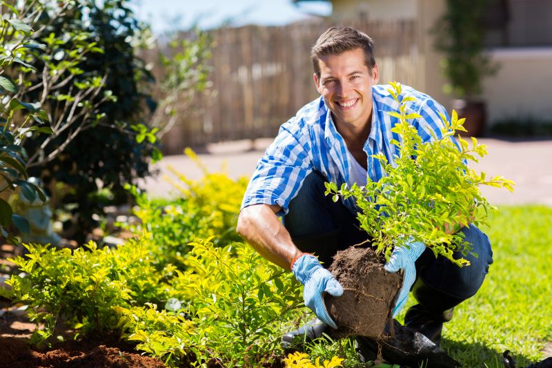 Plant Replacement in Honolulu, HI