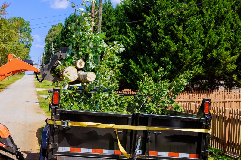 Tree Branch Hauling