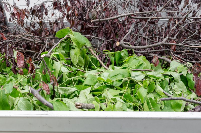 Tree Debris Removal in Ventura County, CA