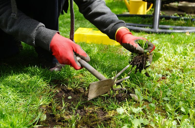 Weeding Service in Rockwall, TX
