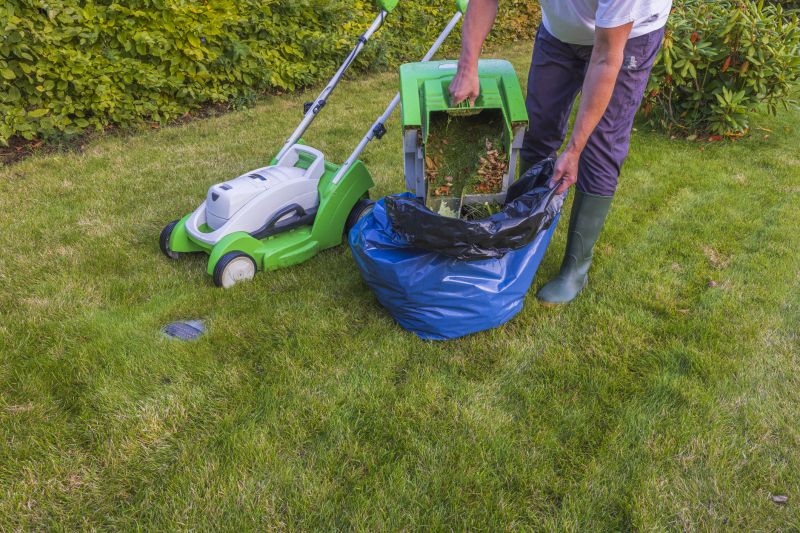 Yard Cleanup Service