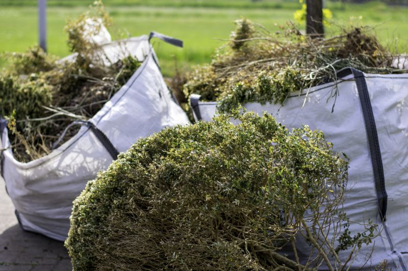 Yard Cleanup Service
