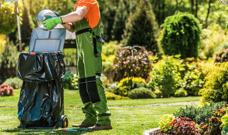 Yard Cleanup Service