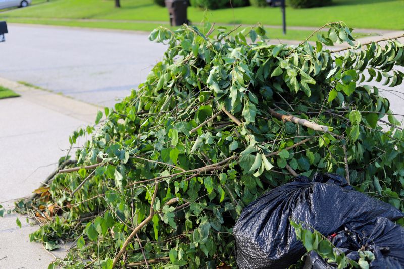 Yard Cleanup Service