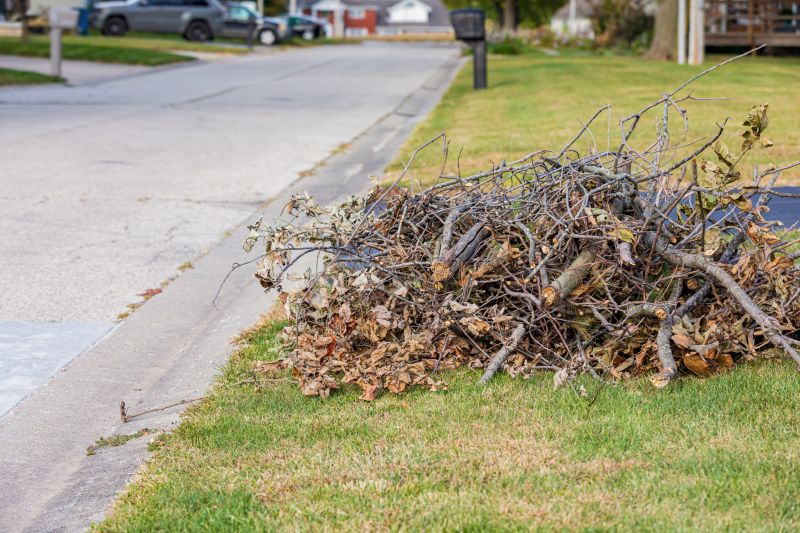 Yard Cleanup Service