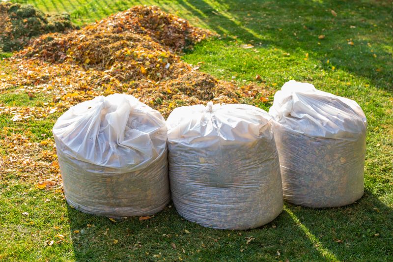Yard Cleanup Service