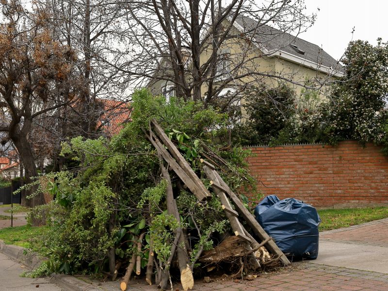 Yard Cleanup Service